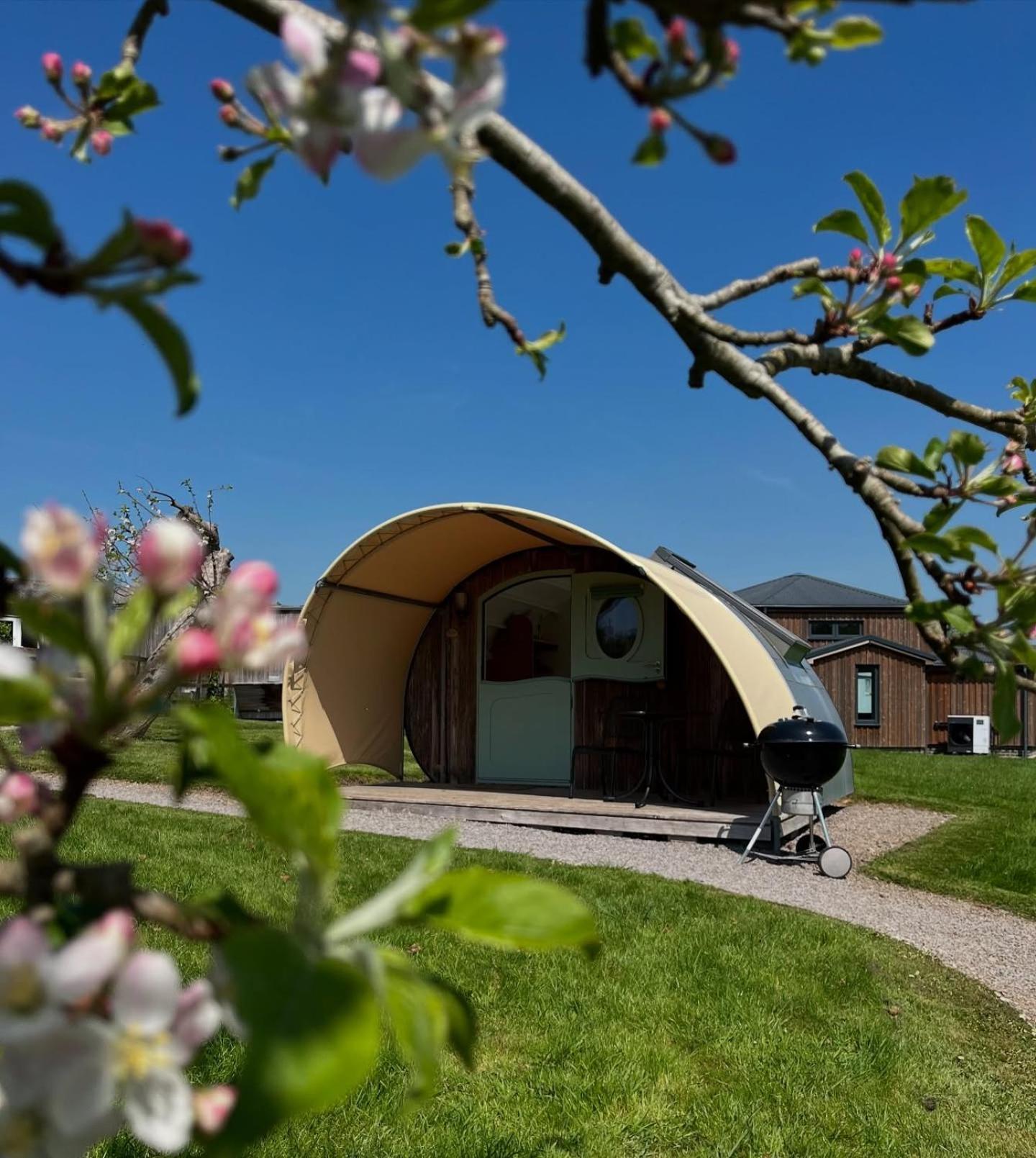 Middlewick Holiday Cottages Glastonbury Esterno foto